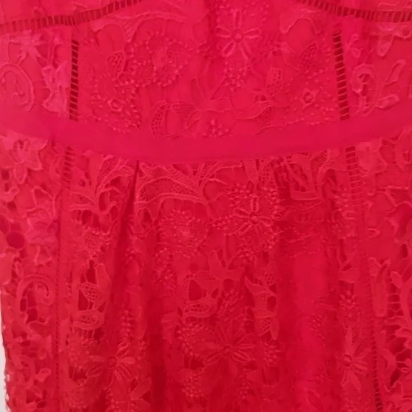 Ted Baker Valens Red Lace Midi Dress - Picture 11 of 12